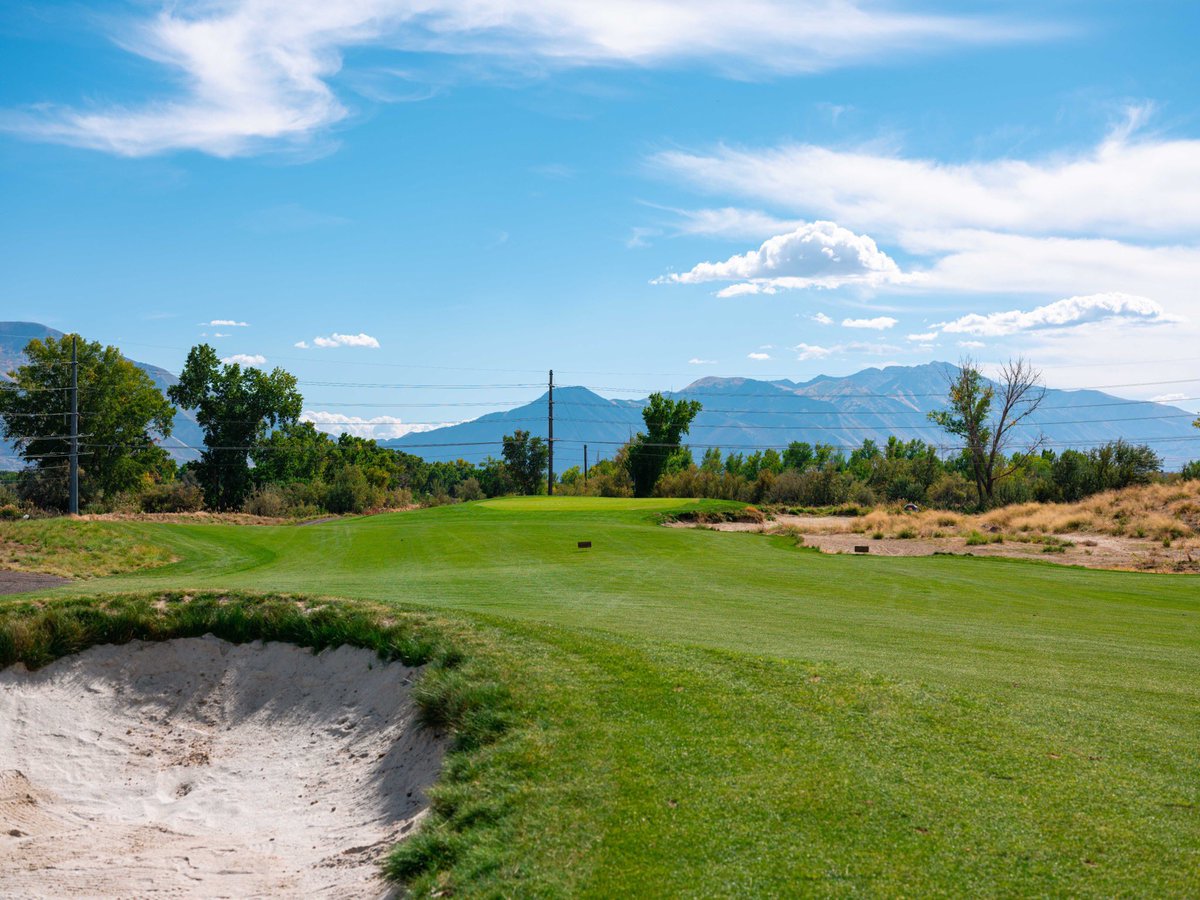 Noah Jurik tweet media