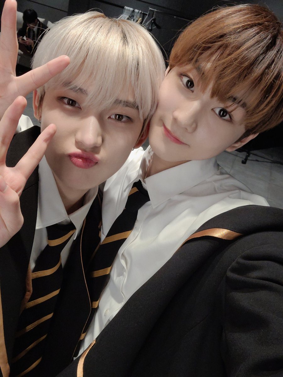 폭스 tweet media