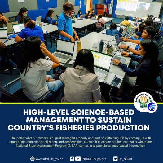 DA_NFRDI's tweet photo. Project leaders, data analysts, and researchers from the BFAR NSAP and NFRDI are currently undergoing the first phase of the Training on Tropical Fish Stock Assessment from October 3 to 15, 2022.
Read more: https://t.co/nmXX9p6kOF
#NSAP
#NFRDIStockAssessment
#NFRDIinAction https://t.co/wlLWXslOHW