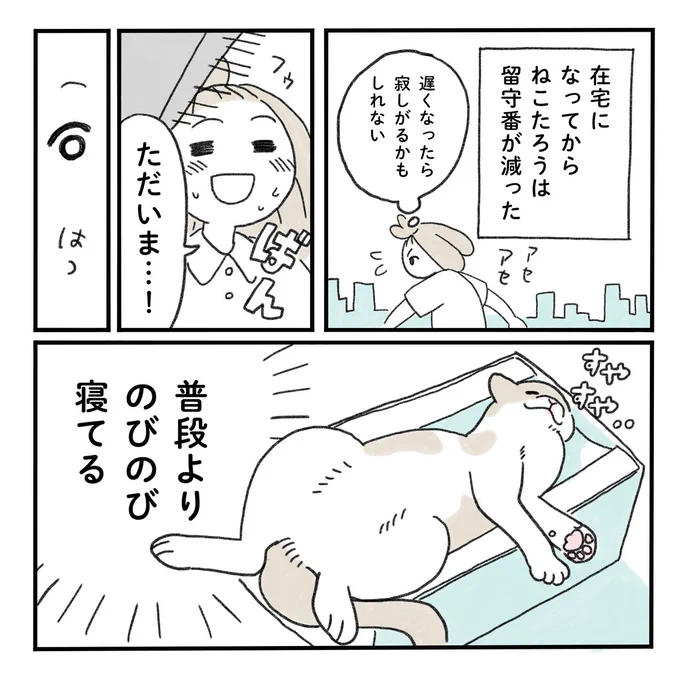 留守番中のねこ#みちこの日記 #ねこのいる暮らし 