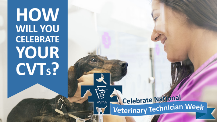 Tweet by PA Veterinary Medical Association