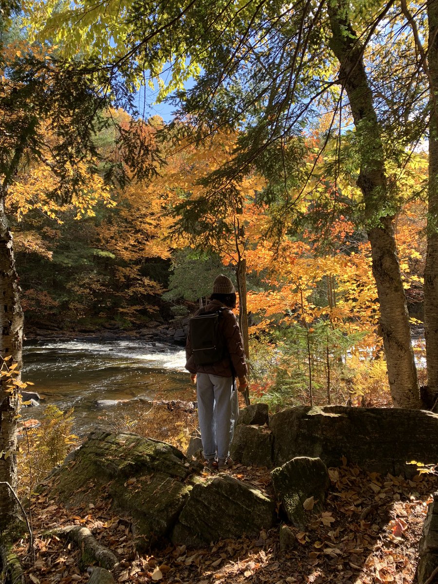maruti_bitamin's tweet photo. Last day in the woods🍁 https://t.co/2KcUZ6b7B5