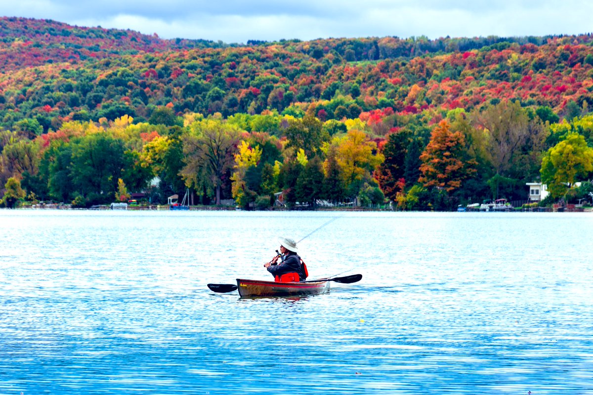 LilyBfoto's tweet photo. September was rough. No time for photography or social media. These autumn colors persuaded me to get back at it 🍁🍂 #photo #Nikon #autumnleaves #fallcolors #NaturePhotography #photooftheday #leaves #fallfoliage #UpstateNY https://t.co/WgsBhRYXfu