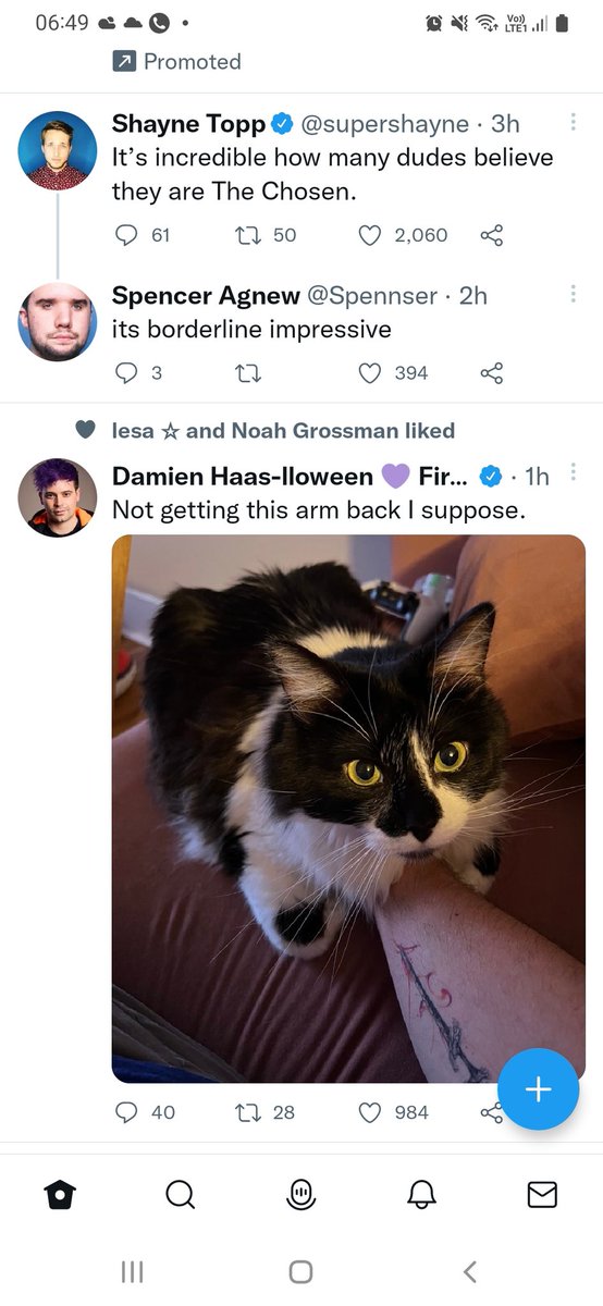 TrainerWhoGames's tweet photo. I successfully tailored my twitter to have the best content possible...

#smosh #smoshfan https://t.co/ycqWBSFirO