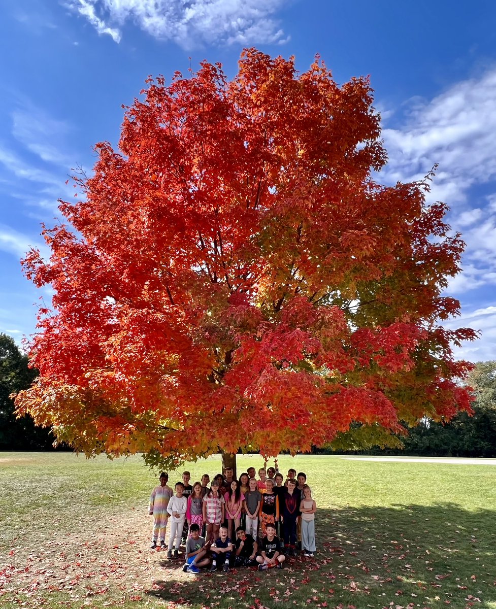 CThompson tweet media