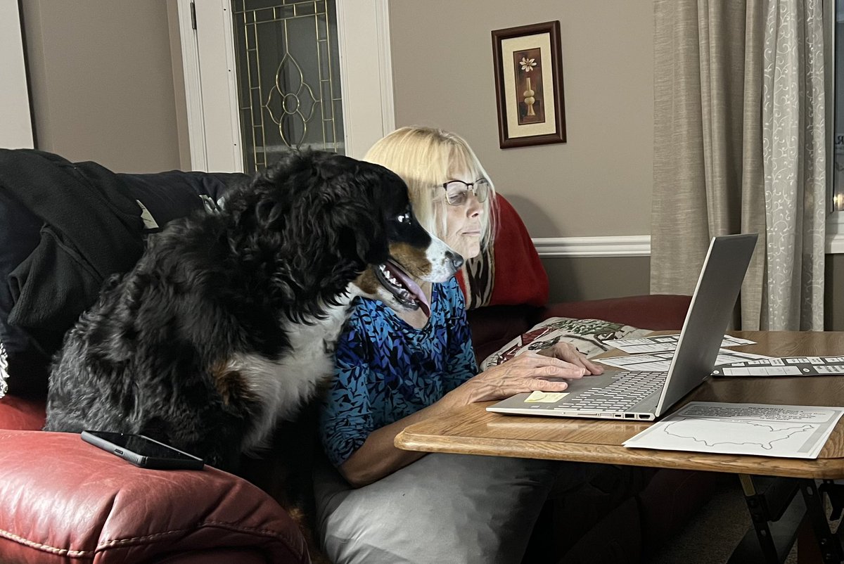 Ziva, my nine month Bernese Mountain dog helping me grade math slides. #ReynProud @cynthia_meisel1 <a href="/MrsBall161/">Natalie Ball</a> <a href="/sarah_clawson_/">Sarah Clawson</a>