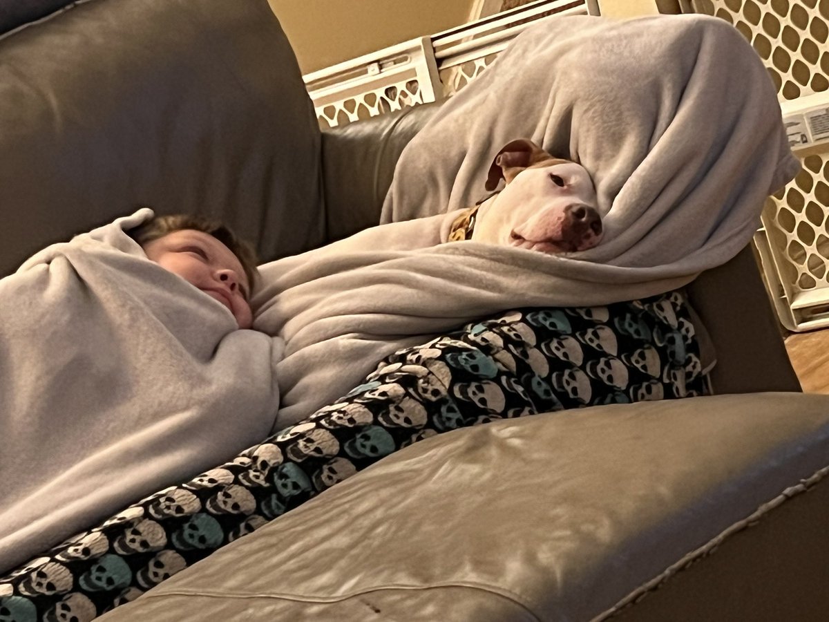 adarbe3's tweet photo. Cuddles with my cousin #cousins #Pitbull #buster https://t.co/tJMwskuPCC