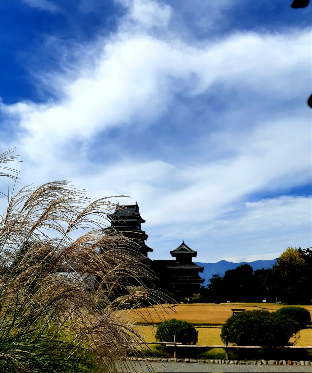 jun7castle's tweet photo. ๅฝๅ
ๅคใฎใๅฎขๆงใงใซใใใใไปใฎ #ๆพๆฌๅใ
#matsumotocastle
#historicalcastle
#beautifulcastle https://t.co/uezqi3hlSP