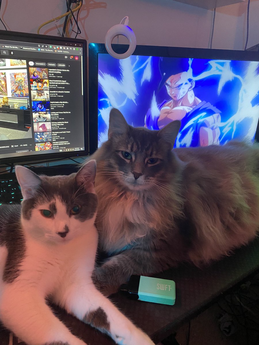 KeyLymes tweet media