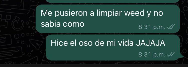 JulietaNPM's tweet photo. Wei yo nomas lo había visto en las películas https://t.co/zMGnJ5aPfH
