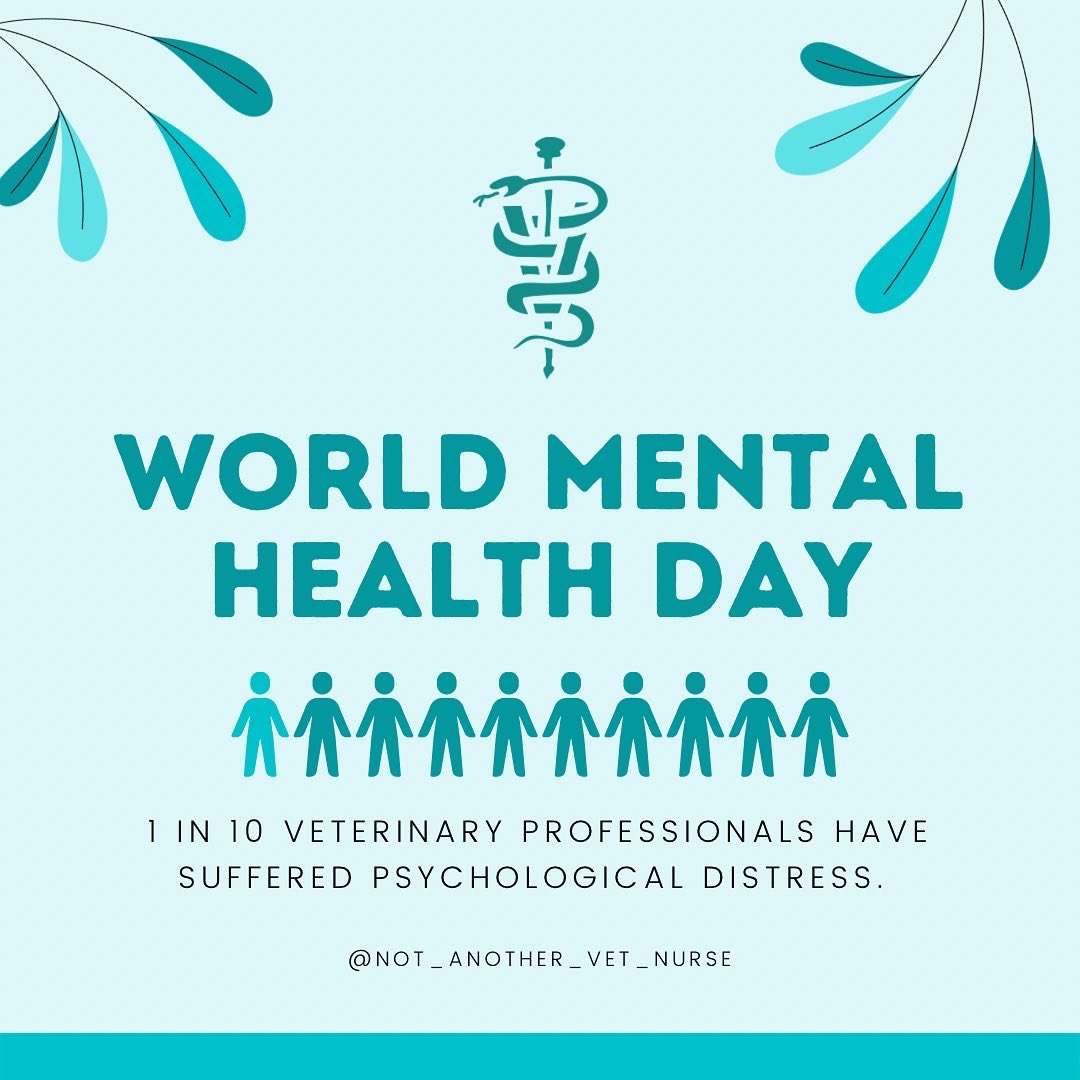 not_vet's tweet photo. This is your Mental Health Monday reminder on World Mental Health Day to be kind to your vet staff, be kind to your coworkers, but most importantly to yourself💚
#worldmentalhealthday https://t.co/EROckThCWH