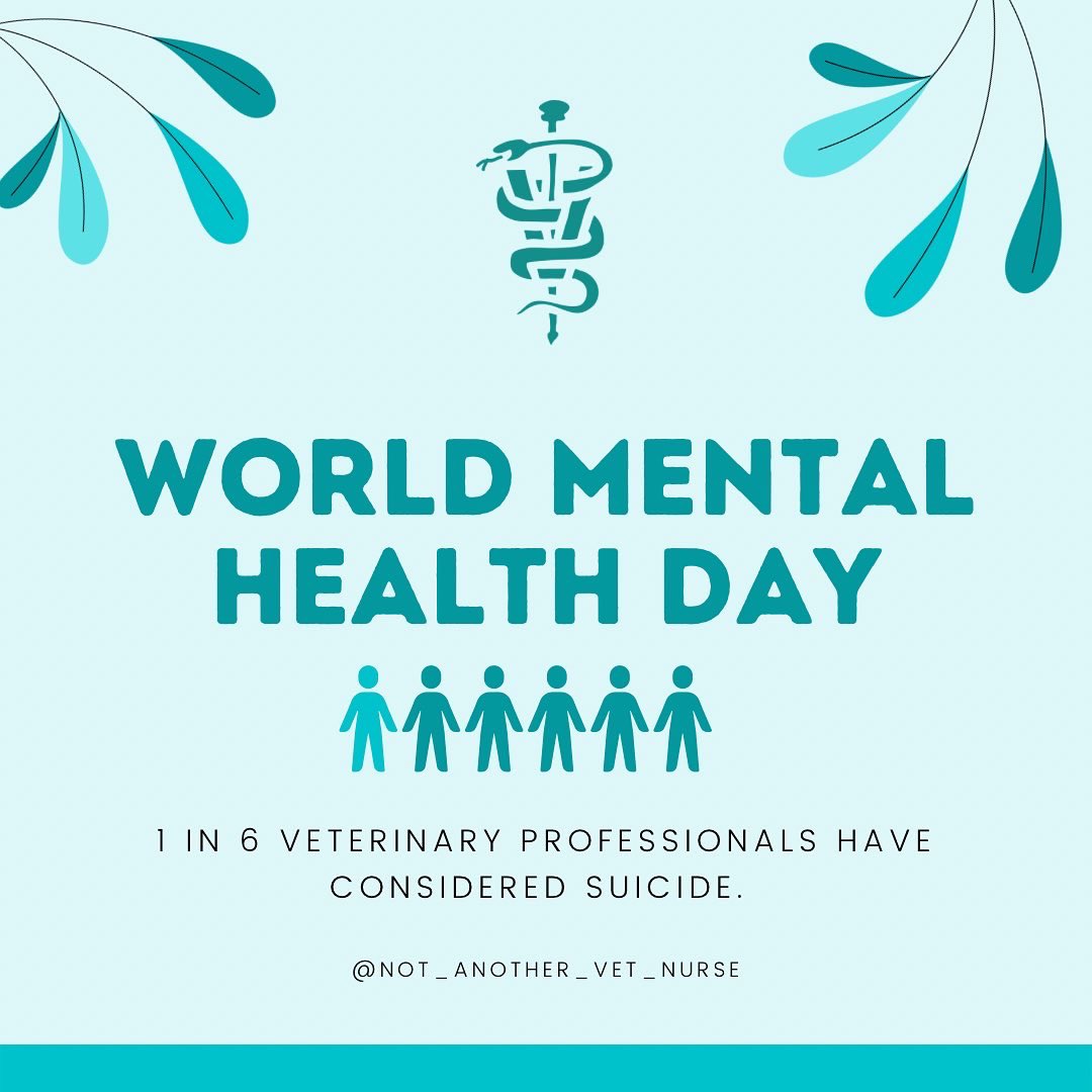 not_vet's tweet photo. This is your Mental Health Monday reminder on World Mental Health Day to be kind to your vet staff, be kind to your coworkers, but most importantly to yourself💚
#worldmentalhealthday https://t.co/EROckThCWH
