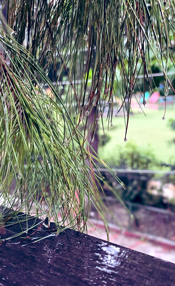 gsushma55's tweet image. सुनो .. 

.. ये जो बारिश की बूँदें है, 
.. तुम्हारे साथ बिताए वक्त की निशानियाँ है! 

#Sush_Click! #बारिश!♥️