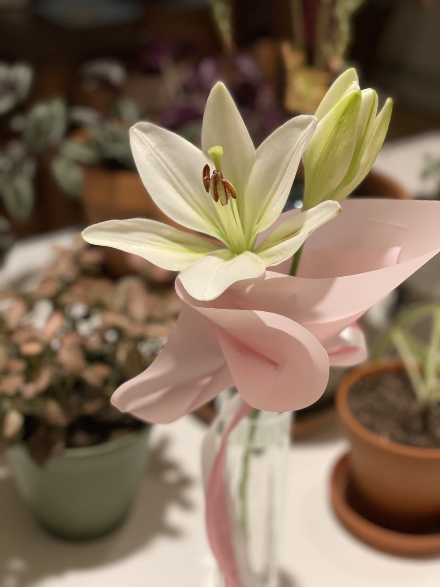 PinterSheila's tweet photo. On this #WorldMentalHealthDay may we remember those we’ve lost to suicide and honor them and those with mental illness by addressing stigma and removing shame. #4DAS #OS14 #bekind 🦋❤️🦋 #lilies4lily #imgladyoustayedproject https://t.co/KN1GpjEPIo