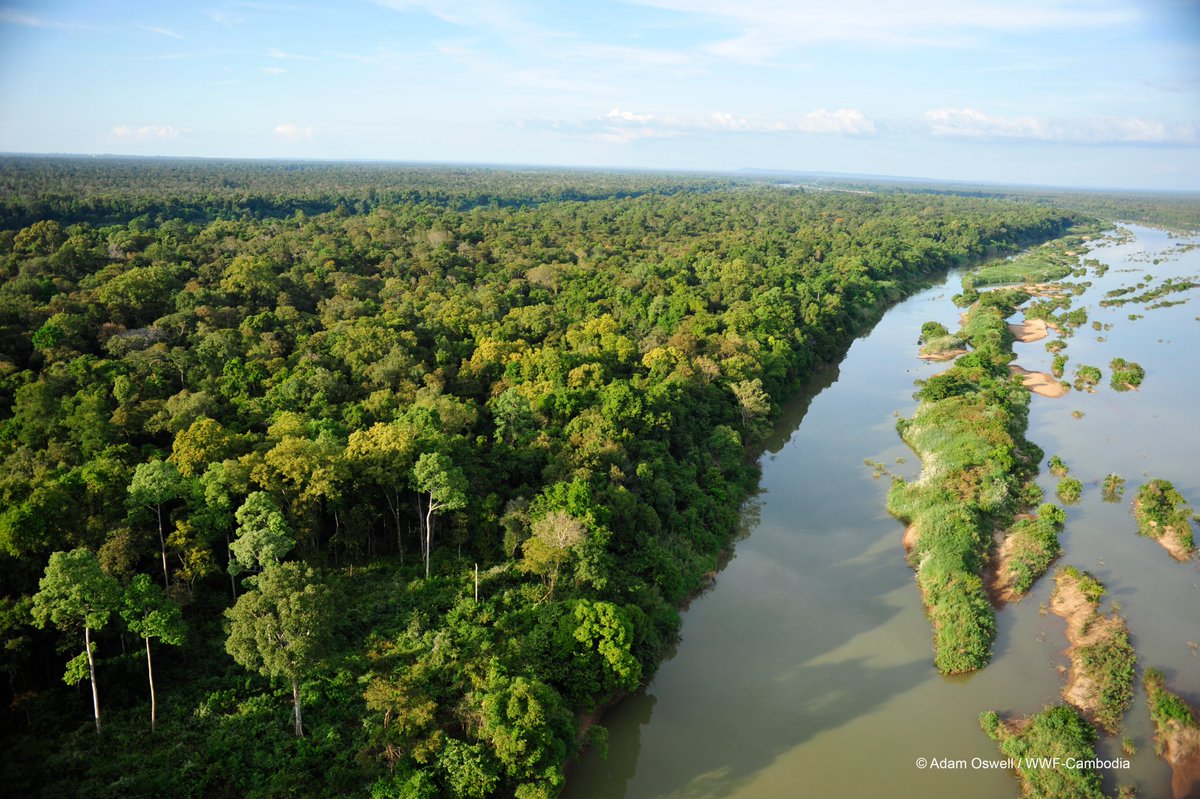 WWFLeadForests's tweet photo. Payment for ecosystem services can help foresters better protect or restore HCVs and set aside larger areas for conservation and carbon sequestration. Our new report explores FSC's procedures on PES and ways forward to help magnify its impact. #FSCGA
https://t.co/3h6IvzRKR7 https://t.co/xqwaWUZptq