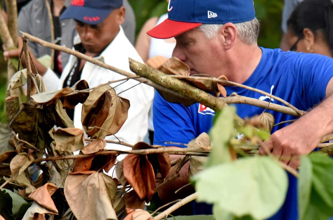 JoseAPerezP's tweet photo. El ejemplo de nuestro Líder @DiazCanelB. "Pensar como país, pensar #Cuba 🇨🇺, es que todos nos entreguemos en cuerpo y alma al servicio de la nación, sacando el mayor provecho de la fuerza más formidable y poderosa de la #Revolución: la Unidad" @UlisesGuilarte @DrRobertoMOjeda https://t.co/DpdRZbbhJq