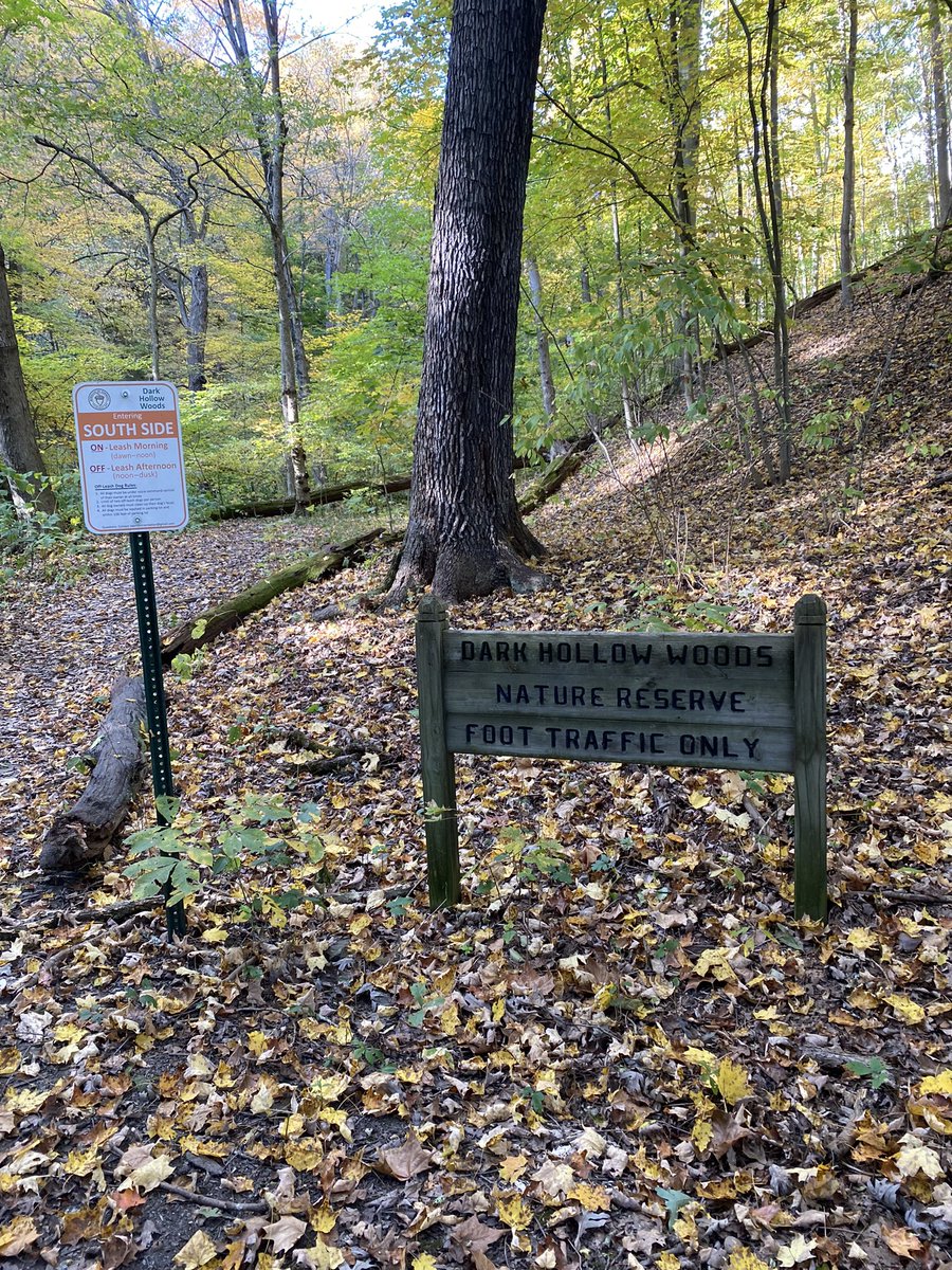 Amy 💚 tweet media