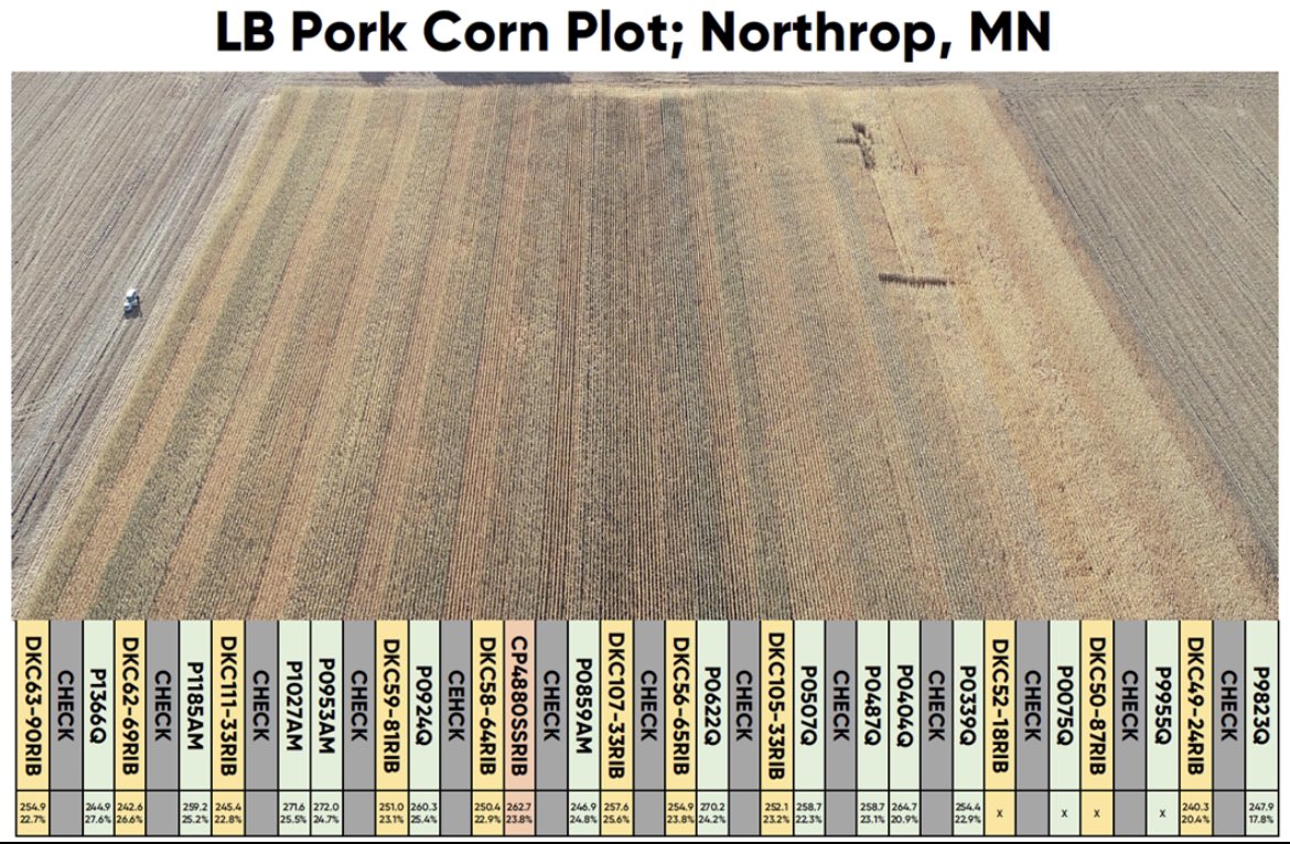 🌽 Yield Update:  Here is 50:50 plot with Dekalb &amp; Pioneer near Northrop, MN. 
Outstanding Performance from Pioneer w/ a plot average of 259.1 bu/A vs. 249.8 bu/A from Dekalb, that’s a 9.3 bu/A advantage! Pioneer took 8 of the top 9 spots with other spot being Croplan not DeKalb.