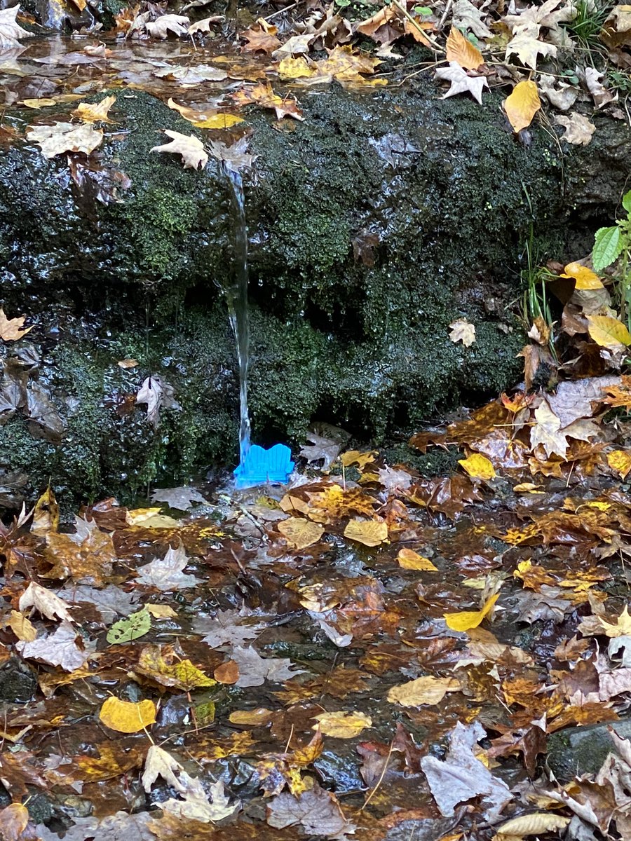 Amy 💚 tweet media