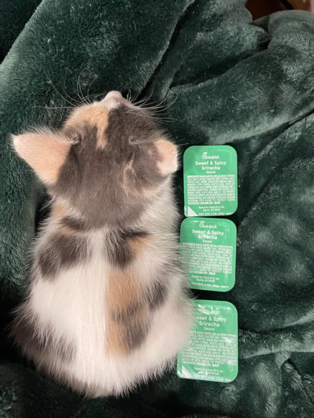 2022年10月11日のつぶやき ユラメモ