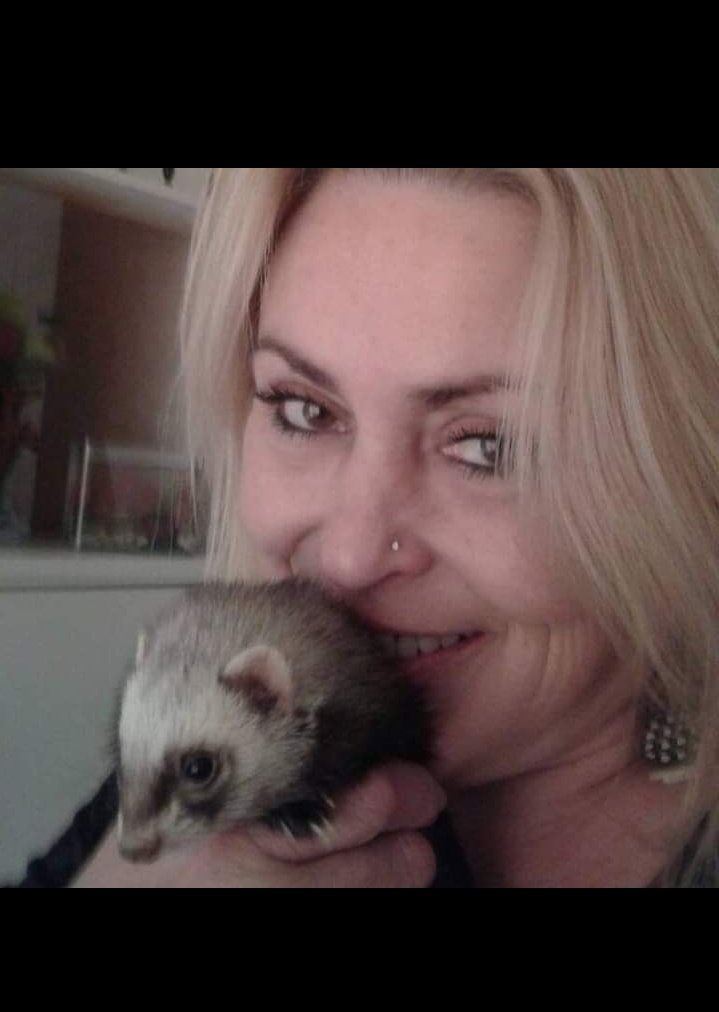 Sally Bugs tweet media