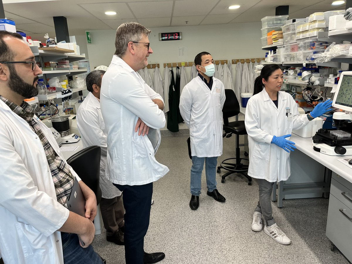 Monash Engineered Biological Models & Systems tweet media