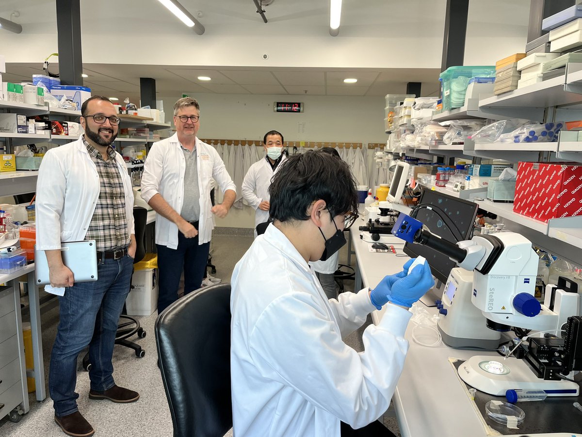 Monash Engineered Biological Models & Systems tweet media