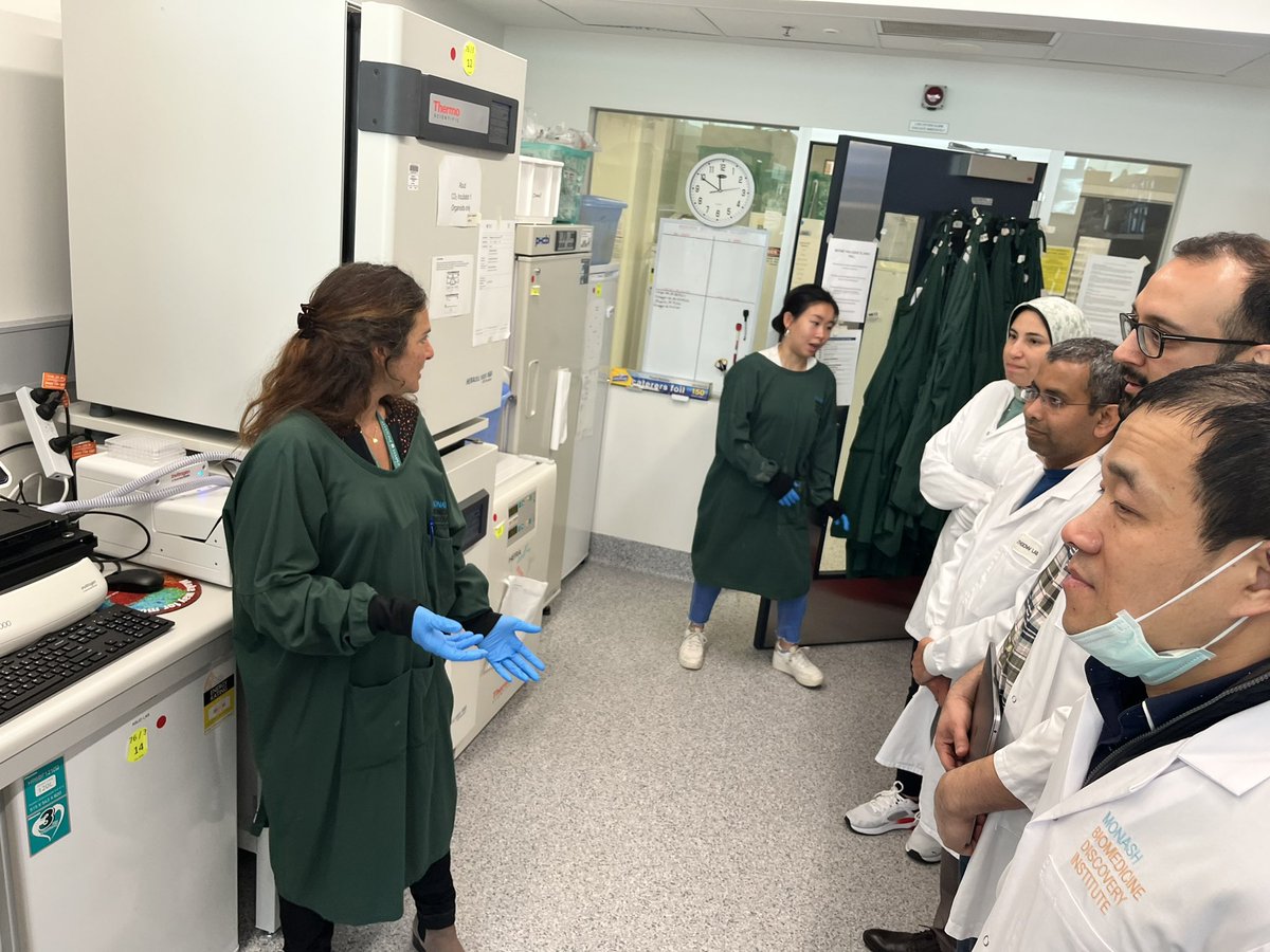 Monash Engineered Biological Models & Systems tweet media