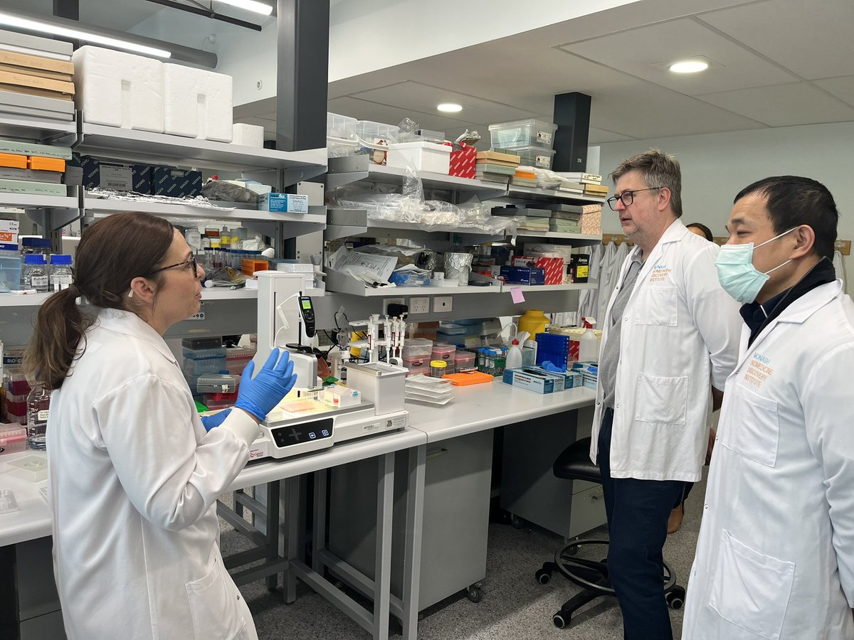 Monash Engineered Biological Models & Systems tweet media