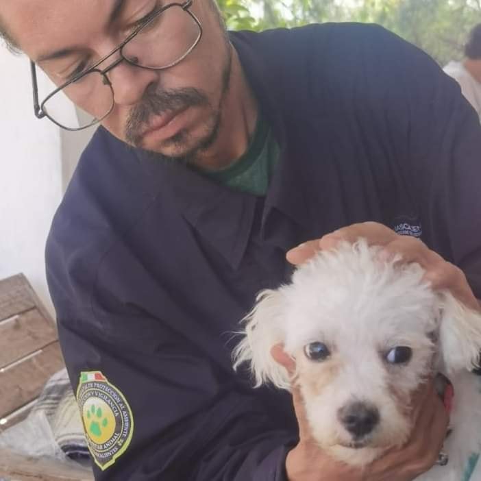 proespaags's tweet photo. Inspectores de #PROESPA, realizan la valoración de un perrito rescatado en el Fraccionamiento Villa Jardín del municipio capital, para determinar si el mismo puede ser adoptado bajo una tenencia responsable de mascotas 🐶🐱.

#ElGiganteDeMéxico https://t.co/FZ32NNZwAa