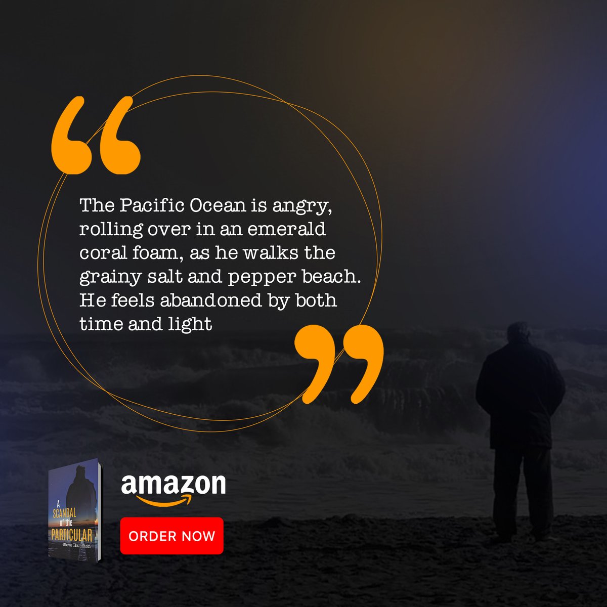 steve_author1's tweet photo. The protagonist is feeling multiple ranges of emotions. Don’t let it end here. Buy the book and give it a read to find out more.

Order Now:
https://t.co/X57po8kY89

#SteveHamilton #crimethriller #book #amazon #Criminology #scandaloftheparticular #protagonist #emotions #reading https://t.co/viv7K9iqk6