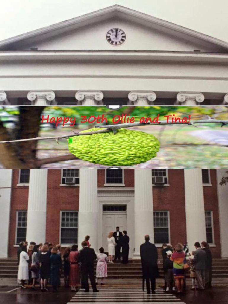 Dr Tina Brock 🌍 🐝 tweet media