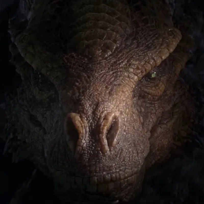 StreetMike22's tweet photo. @ThisGrayArea Does anyone know which dragon this is from a very early trailer? https://t.co/JFHn21iZ9W