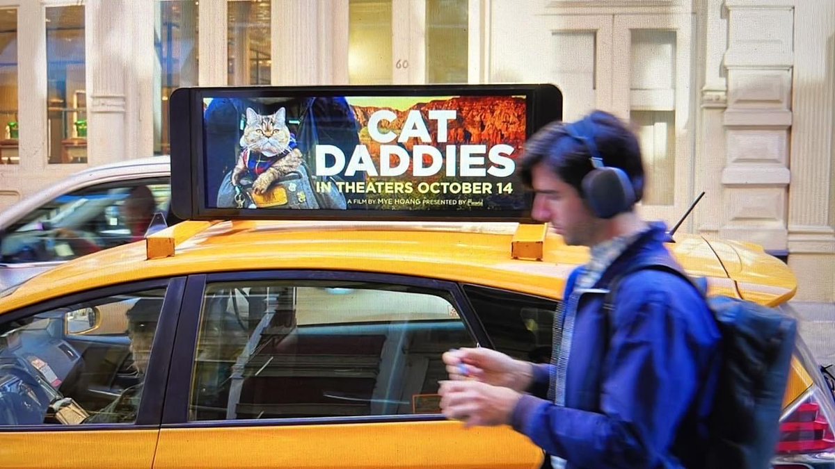 OMG! Cats on cabs in NYC! ⁦<a href="/CatDaddiesMovie/">Cat Daddies Movie</a>⁩