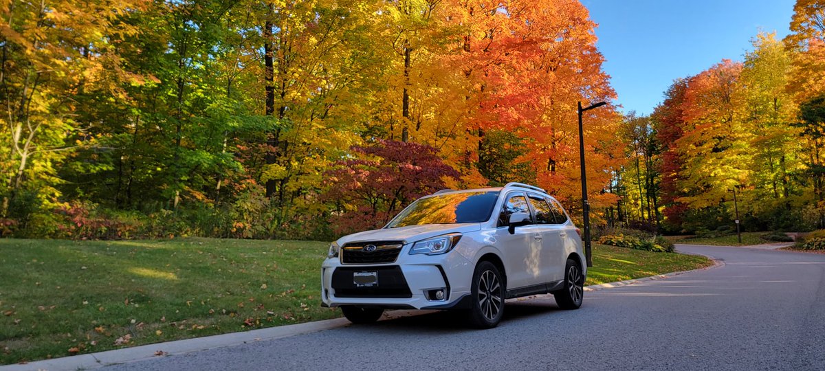iGaryWong's tweet photo. #FallColours #ThanksgivingCanada #ForesterXT @SubaruCanada @SubaruRH https://t.co/rhYhyiSjwT