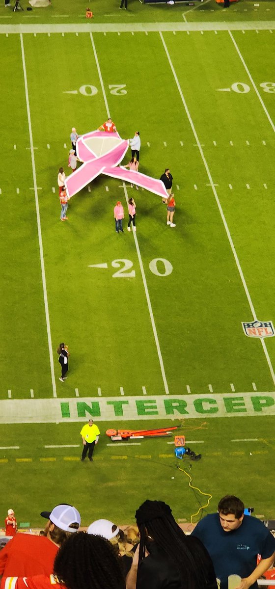 #nfl let's evolve, men get Breast Cancer too. Let's add blue to the ribbon, this is a league with all men players, they need to know men get it too! #menhavebreaststoo #malebreastcancer