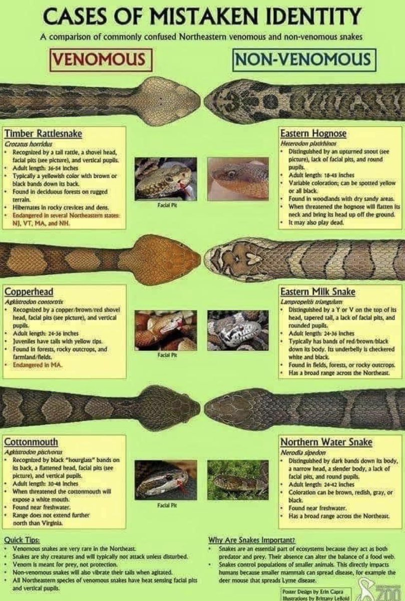 Brad Neal tweet media