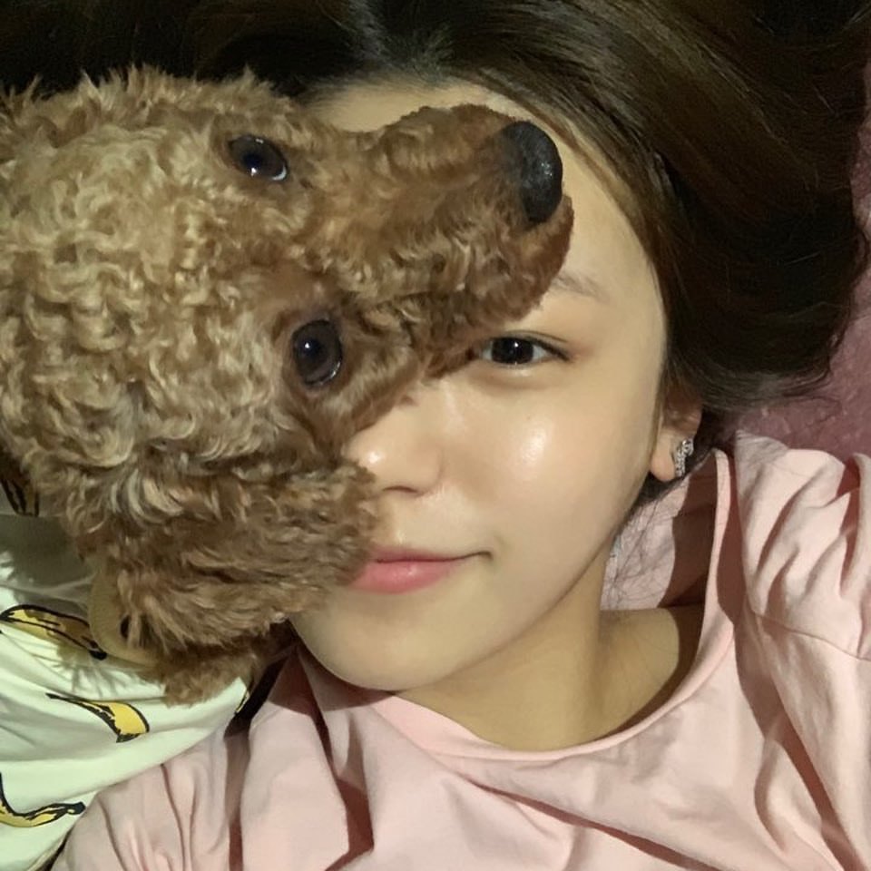 boba__tunes's tweet photo. Apenas me desperte, le conté a mi perrhijo que ya salió #𝐠𝚛𔘓𝚘𝚟𝚒𝚗跳舞 así que quise escucharla junto a él #洛蒂𝗮𝗇𝖽𝓙𝚞𝚕𝚢, soy la mas fan de #𝕒𝚗𝚍·𝐉𝗎𝗅𝗒. ¡Tienen que escucharla y disfrutar de su comeback!

#𝑏rook ⽲ — 𝕓ād g𝑖rl. ✿ https://t.co/Nmm8wBdJrj