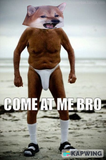 FewXLGbWIAAcQf1?format=jpg&name=small