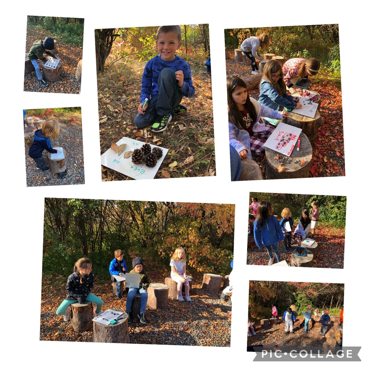 A beautiful day for math review outside today! Using things found in the nature center to show even and odd numbers and to create arrays. #theMESway