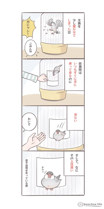 放鳥前に少し驚かせてしまったらこの表情😂感情豊かな文鳥
#文鳥 
#bunchoslife 
#4コマ漫画 

🍀2023卓上カレンダー販売中
↓↓↓
https://t.co/Rn9k9vhe9X…

🍀過去作の電子書籍第3弾、0円でダウンロードできます
↓↓↓
https://t.co/33FMiE9ozt
#文鳥と書いてカワイイと読む 