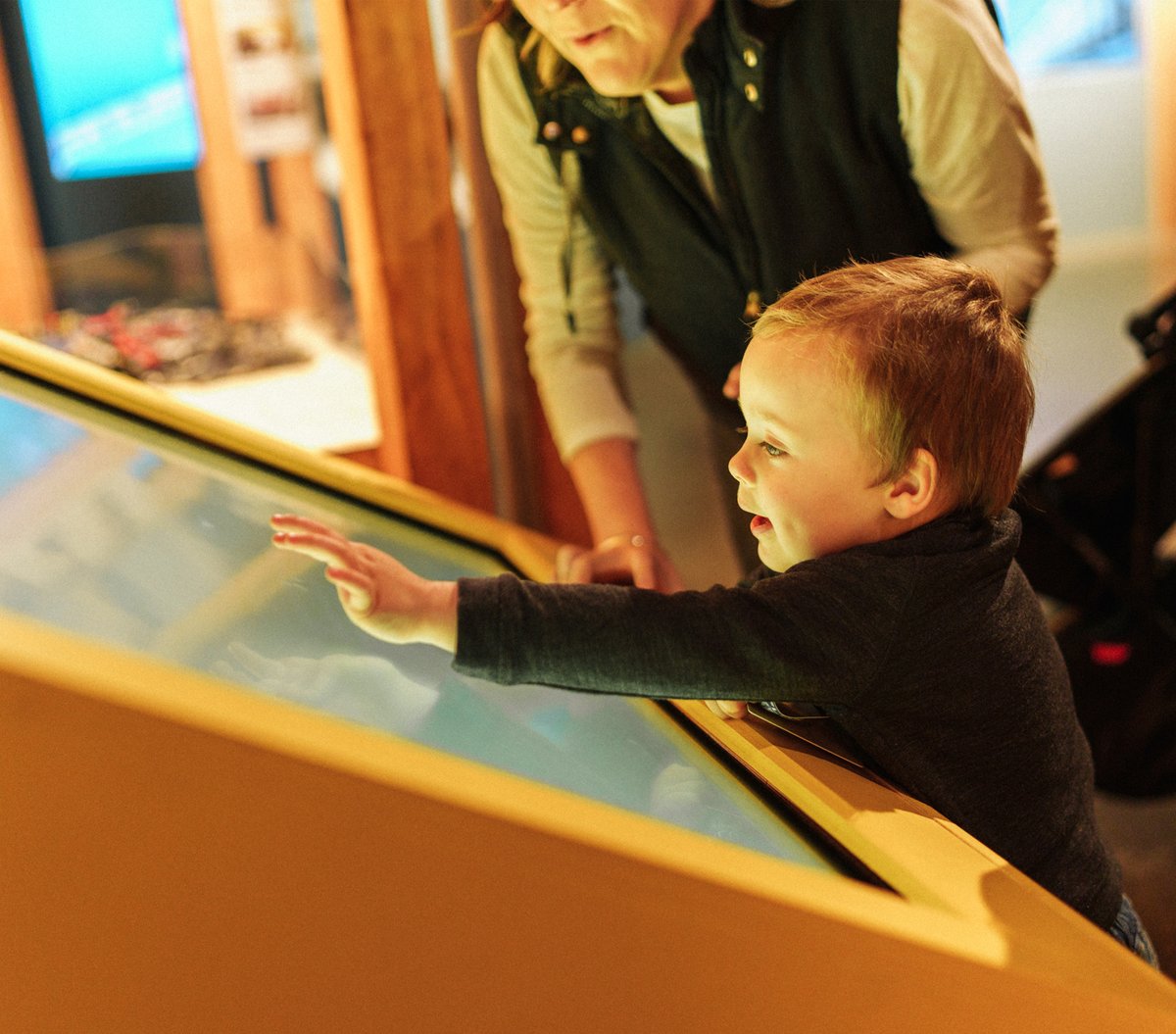 MOTAT_NZ's tweet photo. Have you been in to see our new exhibition, Switch Up: Sustainable Solutions?
Join in the digital trail and learn about some of the fantastic businesses here in Aotearoa that are #SwitchingThingsUp https://t.co/0dSYuuZNYH