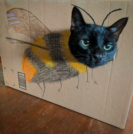 a buzz is just a sky-purr