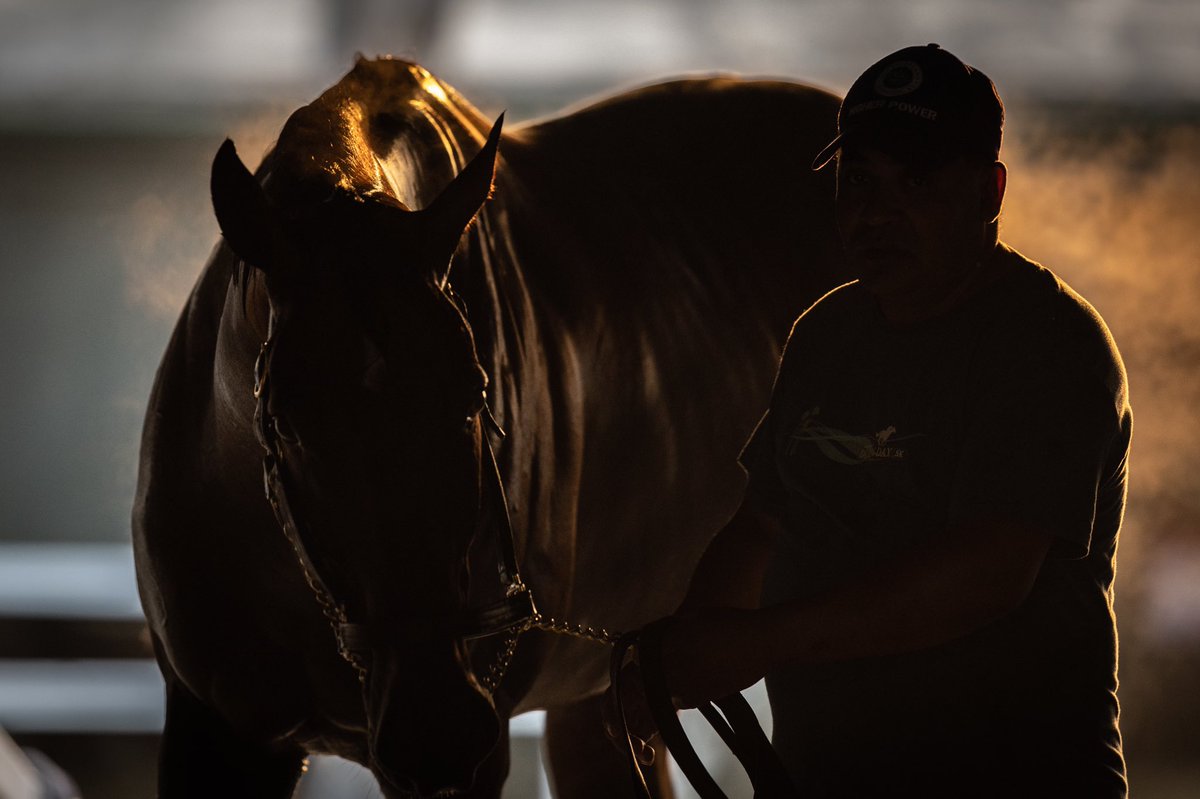 sadlerracing's tweet photo. Flightline and Rene 10.8.22 @santaanitapark @johnwsadler @KostaHronis @stephrosa3 @Hronis_Racing @woodfordracing @westpointtbred @SienaFarmKY @MoreSummerWind @NathalieDarley @JuanLeyva1984 @NancyDollase @EnriqueDMiranda 📸@katejonesstudio https://t.co/48YRGP9jbB