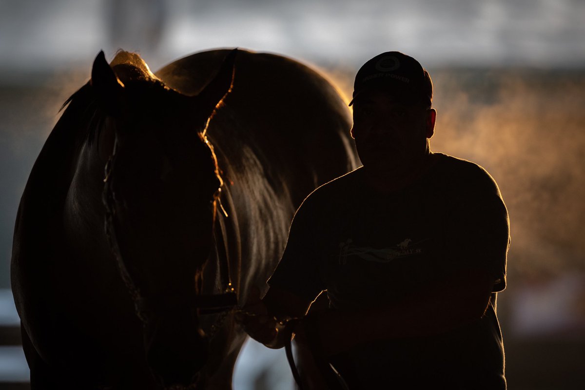 sadlerracing's tweet photo. Flightline and Rene 10.8.22 @santaanitapark @johnwsadler @KostaHronis @stephrosa3 @Hronis_Racing @woodfordracing @westpointtbred @SienaFarmKY @MoreSummerWind @NathalieDarley @JuanLeyva1984 @NancyDollase @EnriqueDMiranda 📸@katejonesstudio https://t.co/48YRGP9jbB