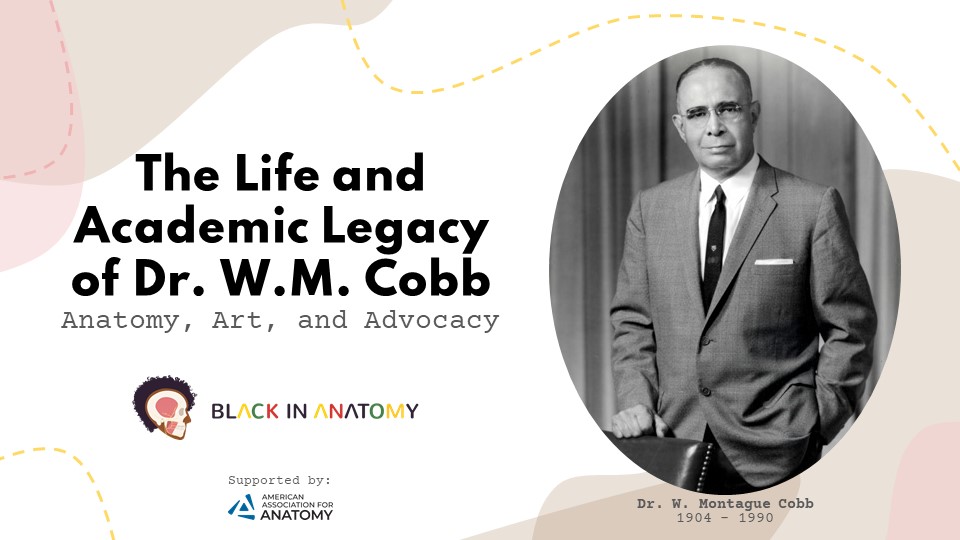 blackinanatomy's tweet photo. In 2021, we hosted the #CobbPanel to celebrate The Life and Academic Legacy of Dr. W. Montague Cobb!
We're thinking of him today, on his 118th birthday, with immense gratitude for his #AnatomyArtAdvocacy work.❤️🔥
Find the full #BlackinAnatWeek event here: https://t.co/Ks2OGRiJoo https://t.co/KtnzMfO6HD