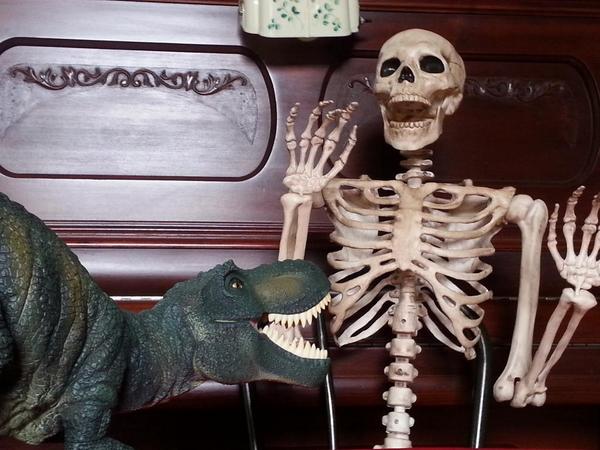 CrowsCastle's tweet image. Dinosaurs can be scary... #Halloween