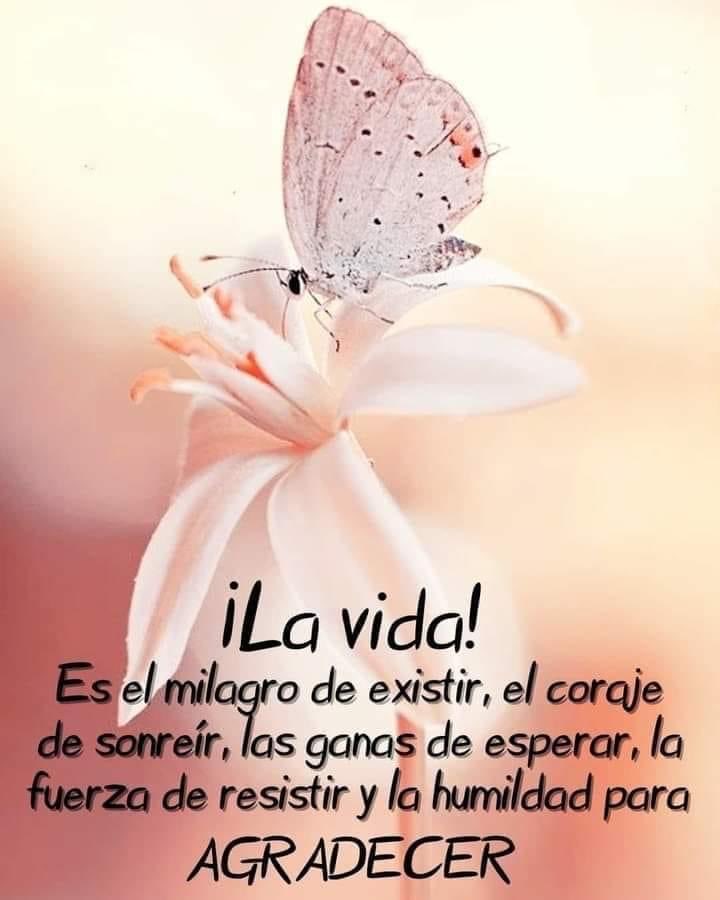 NATURALEZAV3's tweet image. Siempre ser agradecidos!!