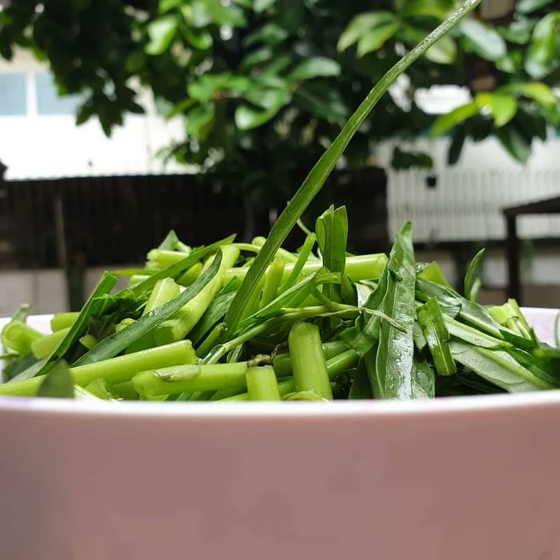 Unnamedminorxxx's tweet image. Stir-fried Water Spinach
ผัดผักดุ้ง
#มื้อเข้าสำคัญนะ​ #morningcooking