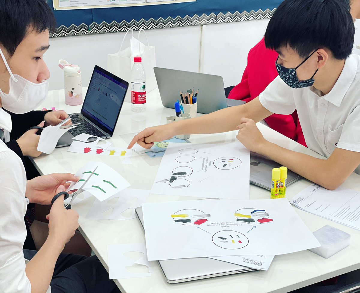 Bio students working with a simple analogy to understand the key differences between mitosis and meiosis before learning about meiosis. Quick structured inquiry #myCISB #Biology